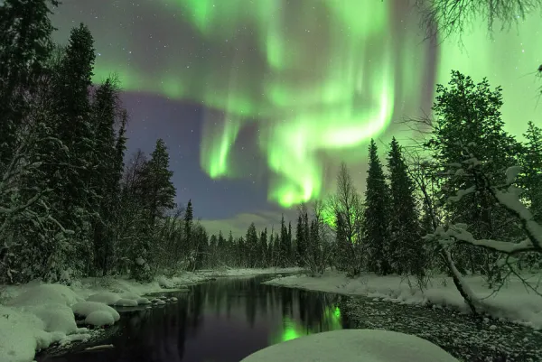 Snow-covered Lapland landscape under the northern lights – silence, forest, and endless sky